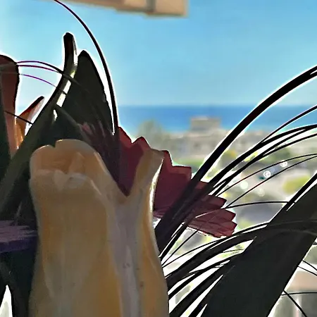 Vista Mare Apartament Nicea